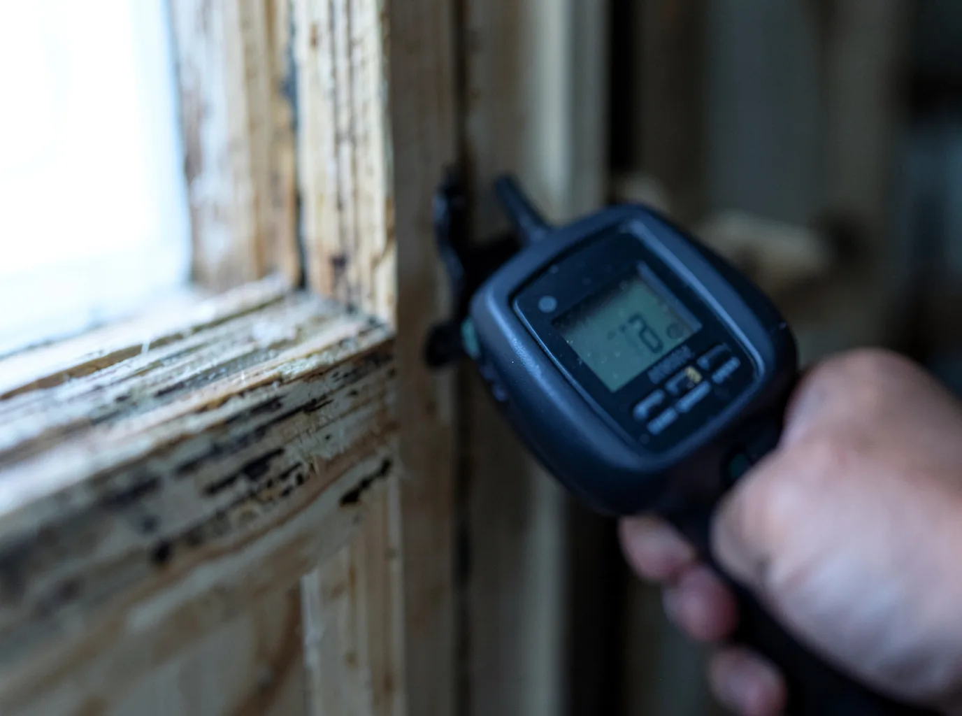 Ceiling Water Damage Repair in Camano Island, WA